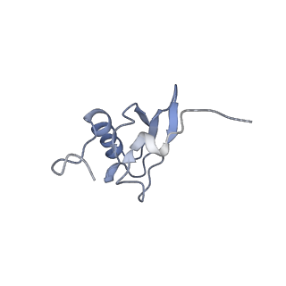 8280_5kpv_23_v1-4
Structure of RelA bound to ribosome in presence of A/R tRNA (Structure II)