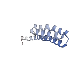 8280_5kpv_24_v1-4
Structure of RelA bound to ribosome in presence of A/R tRNA (Structure II)