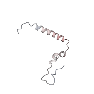 8280_5kpv_25_v1-4
Structure of RelA bound to ribosome in presence of A/R tRNA (Structure II)