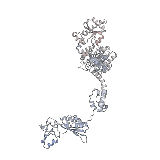 8280_5kpv_33_v1-4
Structure of RelA bound to ribosome in presence of A/R tRNA (Structure II)