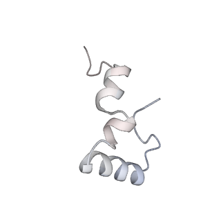 8280_5kpv_3_v1-4
Structure of RelA bound to ribosome in presence of A/R tRNA (Structure II)