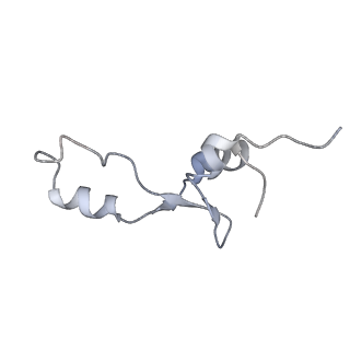 8280_5kpv_4_v1-4
Structure of RelA bound to ribosome in presence of A/R tRNA (Structure II)