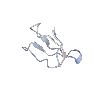 8280_5kpv_5_v1-4
Structure of RelA bound to ribosome in presence of A/R tRNA (Structure II)