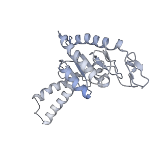 8280_5kpv_6_v1-4
Structure of RelA bound to ribosome in presence of A/R tRNA (Structure II)