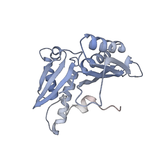 8280_5kpv_7_v1-4
Structure of RelA bound to ribosome in presence of A/R tRNA (Structure II)