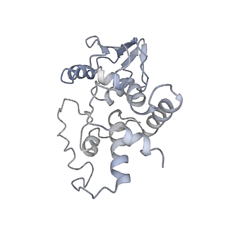 8280_5kpv_8_v1-4
Structure of RelA bound to ribosome in presence of A/R tRNA (Structure II)