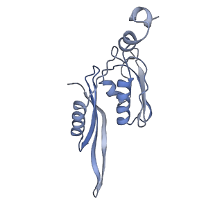 8280_5kpv_9_v1-4
Structure of RelA bound to ribosome in presence of A/R tRNA (Structure II)
