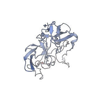 8280_5kpv_A_v1-4
Structure of RelA bound to ribosome in presence of A/R tRNA (Structure II)