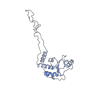 8280_5kpv_C_v1-4
Structure of RelA bound to ribosome in presence of A/R tRNA (Structure II)