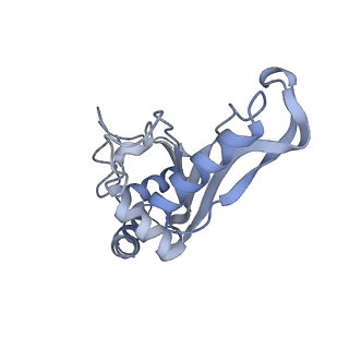 8280_5kpv_D_v1-4
Structure of RelA bound to ribosome in presence of A/R tRNA (Structure II)