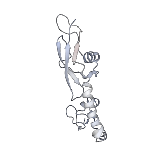 8280_5kpv_F_v1-4
Structure of RelA bound to ribosome in presence of A/R tRNA (Structure II)