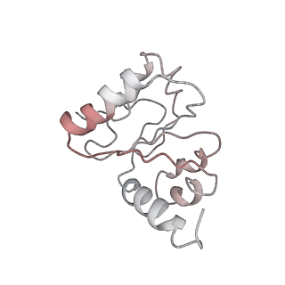 8280_5kpv_G_v1-4
Structure of RelA bound to ribosome in presence of A/R tRNA (Structure II)