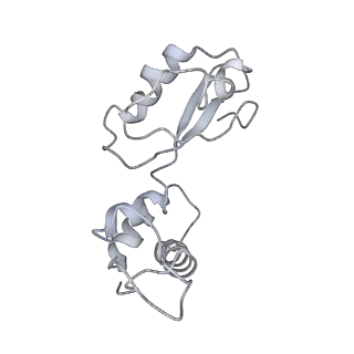 8280_5kpv_H_v1-4
Structure of RelA bound to ribosome in presence of A/R tRNA (Structure II)