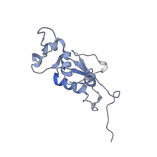 8280_5kpv_I_v1-4
Structure of RelA bound to ribosome in presence of A/R tRNA (Structure II)
