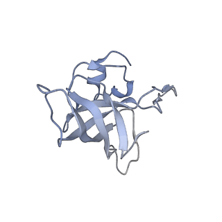 8280_5kpv_J_v1-4
Structure of RelA bound to ribosome in presence of A/R tRNA (Structure II)