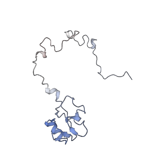 8280_5kpv_K_v1-4
Structure of RelA bound to ribosome in presence of A/R tRNA (Structure II)