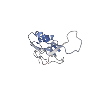 8280_5kpv_L_v1-4
Structure of RelA bound to ribosome in presence of A/R tRNA (Structure II)