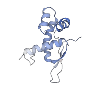 8280_5kpv_M_v1-4
Structure of RelA bound to ribosome in presence of A/R tRNA (Structure II)