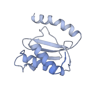 8280_5kpv_N_v1-4
Structure of RelA bound to ribosome in presence of A/R tRNA (Structure II)