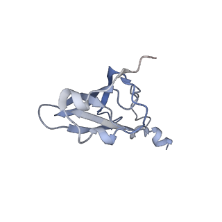 8280_5kpv_O_v1-4
Structure of RelA bound to ribosome in presence of A/R tRNA (Structure II)