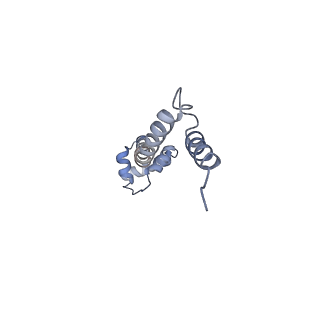 8280_5kpv_P_v1-4
Structure of RelA bound to ribosome in presence of A/R tRNA (Structure II)