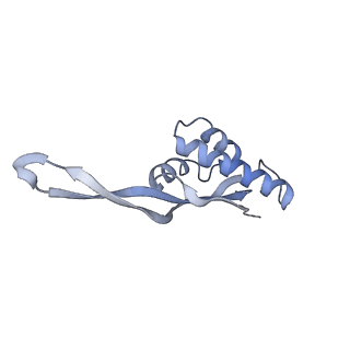 8280_5kpv_R_v1-4
Structure of RelA bound to ribosome in presence of A/R tRNA (Structure II)