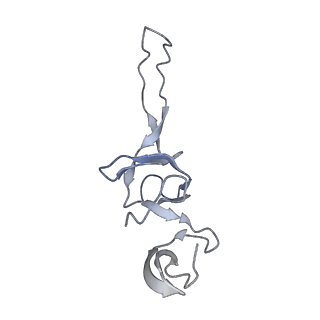 8280_5kpv_T_v1-4
Structure of RelA bound to ribosome in presence of A/R tRNA (Structure II)