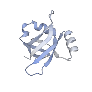 8280_5kpv_U_v1-4
Structure of RelA bound to ribosome in presence of A/R tRNA (Structure II)