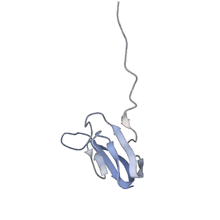 8280_5kpv_V_v1-4
Structure of RelA bound to ribosome in presence of A/R tRNA (Structure II)