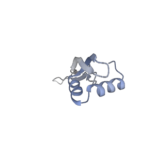 8280_5kpv_W_v1-4
Structure of RelA bound to ribosome in presence of A/R tRNA (Structure II)