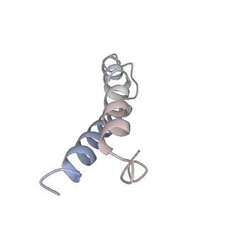 8280_5kpv_X_v1-4
Structure of RelA bound to ribosome in presence of A/R tRNA (Structure II)