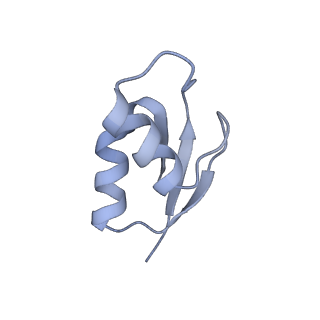 8280_5kpv_Y_v1-4
Structure of RelA bound to ribosome in presence of A/R tRNA (Structure II)