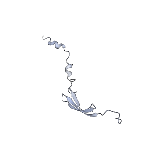 8280_5kpv_Z_v1-4
Structure of RelA bound to ribosome in presence of A/R tRNA (Structure II)
