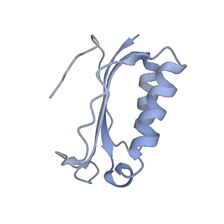 8281_5kpw_10_v1-4
Structure of RelA bound to ribosome in presence of A/R tRNA (Structure III)