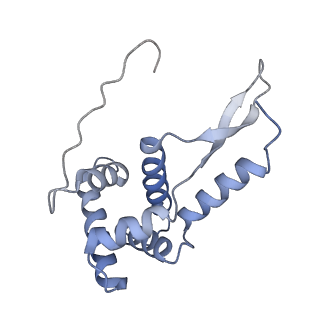 8281_5kpw_11_v1-4
Structure of RelA bound to ribosome in presence of A/R tRNA (Structure III)