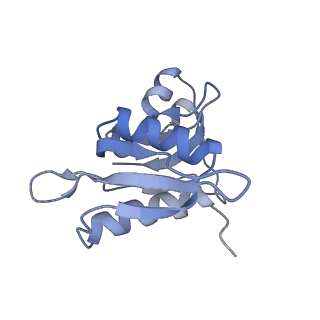 8281_5kpw_12_v1-4
Structure of RelA bound to ribosome in presence of A/R tRNA (Structure III)