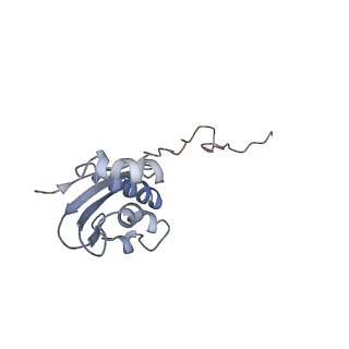8281_5kpw_13_v1-4
Structure of RelA bound to ribosome in presence of A/R tRNA (Structure III)