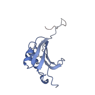 8281_5kpw_15_v1-4
Structure of RelA bound to ribosome in presence of A/R tRNA (Structure III)