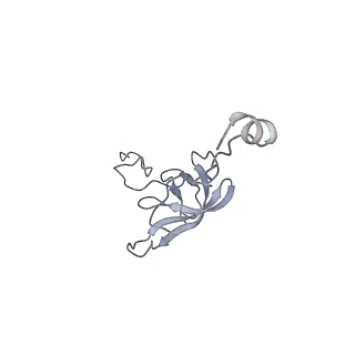 8281_5kpw_16_v1-4
Structure of RelA bound to ribosome in presence of A/R tRNA (Structure III)