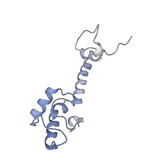 8281_5kpw_17_v1-4
Structure of RelA bound to ribosome in presence of A/R tRNA (Structure III)