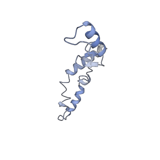 8281_5kpw_18_v1-4
Structure of RelA bound to ribosome in presence of A/R tRNA (Structure III)