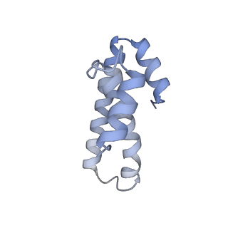 8281_5kpw_19_v1-4
Structure of RelA bound to ribosome in presence of A/R tRNA (Structure III)