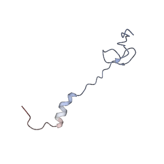 8281_5kpw_1_v1-4
Structure of RelA bound to ribosome in presence of A/R tRNA (Structure III)