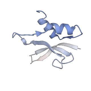 8281_5kpw_20_v1-4
Structure of RelA bound to ribosome in presence of A/R tRNA (Structure III)
