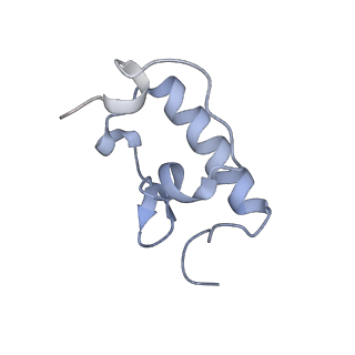 8281_5kpw_22_v1-4
Structure of RelA bound to ribosome in presence of A/R tRNA (Structure III)