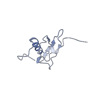 8281_5kpw_23_v1-4
Structure of RelA bound to ribosome in presence of A/R tRNA (Structure III)