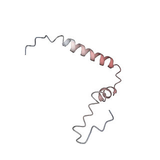 8281_5kpw_25_v1-4
Structure of RelA bound to ribosome in presence of A/R tRNA (Structure III)