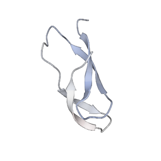 8281_5kpw_2_v1-4
Structure of RelA bound to ribosome in presence of A/R tRNA (Structure III)