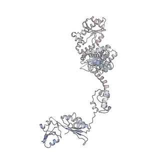 8281_5kpw_33_v1-4
Structure of RelA bound to ribosome in presence of A/R tRNA (Structure III)