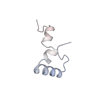 8281_5kpw_3_v1-4
Structure of RelA bound to ribosome in presence of A/R tRNA (Structure III)